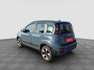 FIAT Panda usata 3