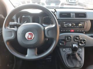FIAT Panda usata, con USB