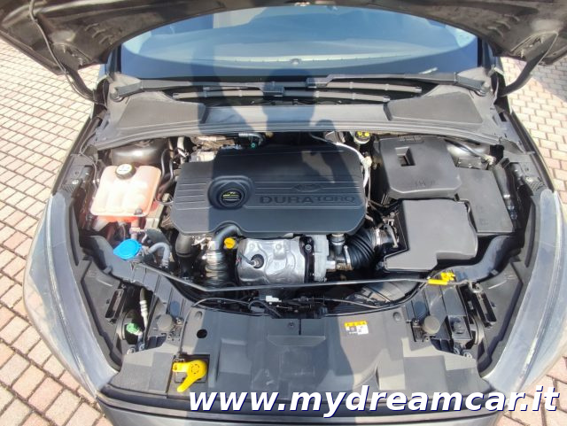 FORD Focus usata 19