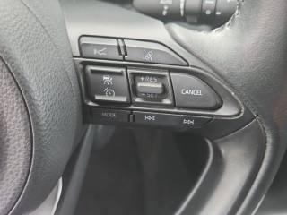 TOYOTA Yaris Cross usata, con Airbag testa