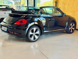 VOLKSWAGEN Maggiolino usata, con Fendinebbia