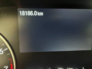FORD EcoSport usata, con Volante in pelle