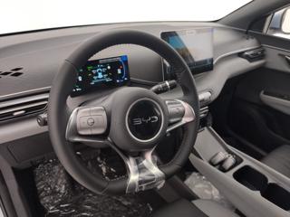 BYD Dolphin Surf usata, con Controllo automatico clima