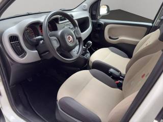 FIAT Panda usata 9