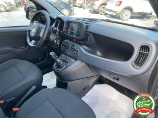 FIAT Panda usata, con USB