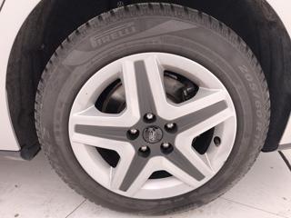 FORD Focus usata, con Bracciolo