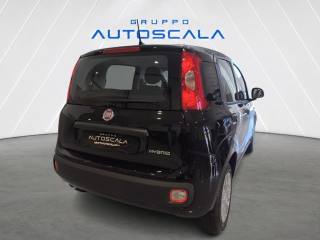 FIAT New Panda usata, con Alzacristalli elettrici
