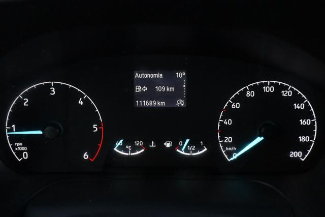 IVECO Daily usata, con Cruise Control