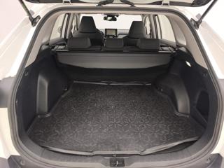 TOYOTA RAV 4 usata, con Trazione integrale