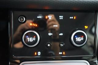 LAND ROVER Range Rover Evoque usata, con Climatizzatore automatico, 2 zone