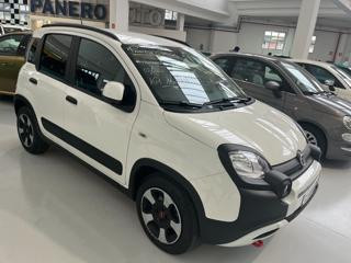 FIAT Panda Cross usata, con Controllo trazione