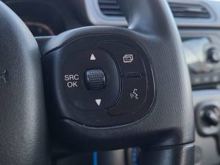 FIAT Panda usata, con Cronologia tagliandi