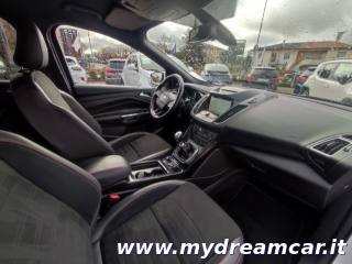 FORD Kuga usata, con Fendinebbia