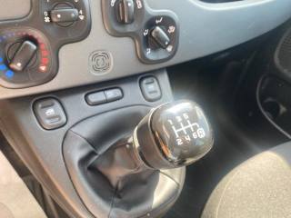 FIAT Panda usata, con Airbag testa