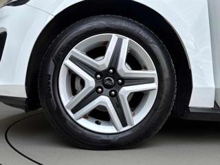 FORD Focus usata, con Park Distance Control