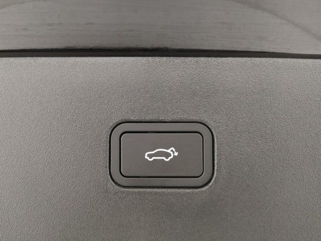 VOLVO EX30 usata, con Touch screen