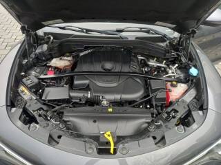 ALFA ROMEO Stelvio usata, con Fendinebbia