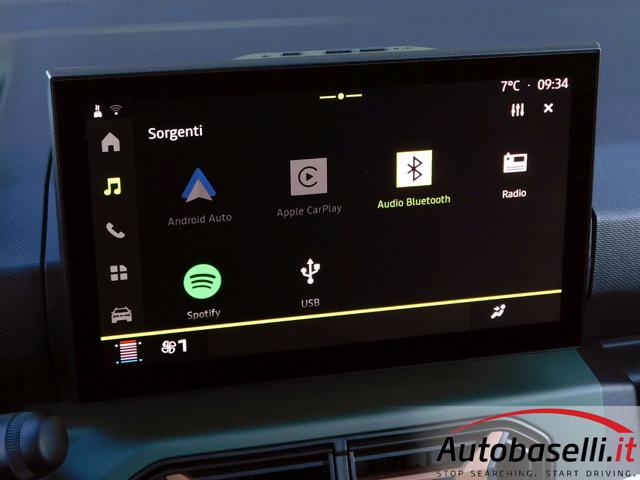 DACIA Spring usata 53