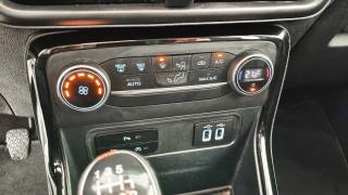 FORD EcoSport usata, con ESP