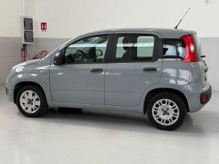 FIAT Panda usata, con ESP