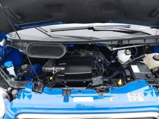 FORD Transit usata, con Volante multifunzione