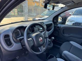 FIAT Panda usata, con Controllo automatico clima