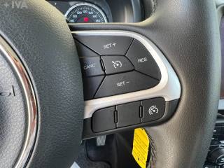 JEEP Renegade usata 16