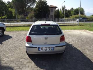 VOLKSWAGEN Polo usata, con Fendinebbia