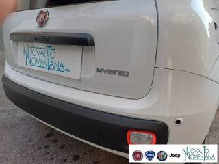 FIAT Panda usata, con Controllo trazione
