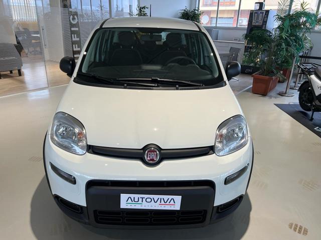 FIAT Panda usata, con Controllo trazione