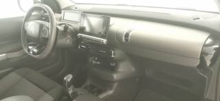 CITROEN C4 Cactus usata 44