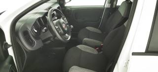 FIAT Panda usata 11