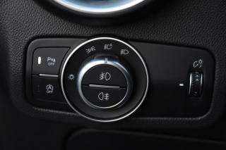 ALFA ROMEO Stelvio usata, con Bracciolo