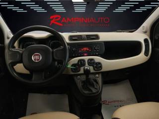 FIAT Panda usata 10