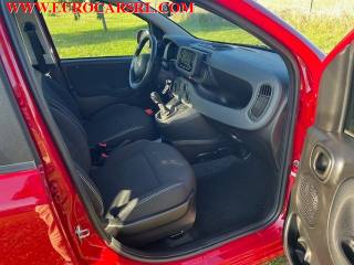 FIAT Panda usata, con Riconoscimento dei segnali stradali