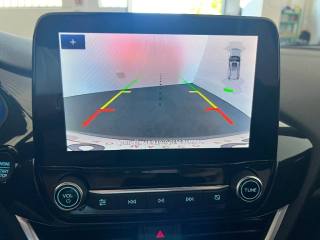 FORD Puma usata, con Cronologia tagliandi