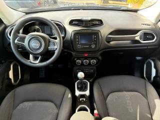JEEP Renegade usata, con Boardcomputer