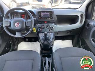 FIAT Panda usata, con ESP