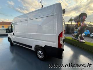 FIAT Ducato usata, con Airbag Passeggero