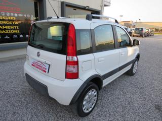 FIAT Panda usata, con Immobilizzatore elettronico