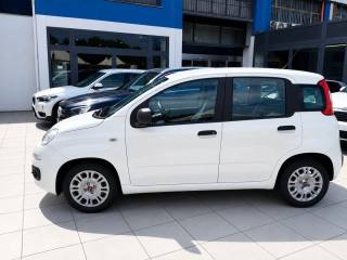 FIAT Panda usata, con Alzacristalli elettrici