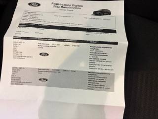 FORD Fiesta usata, con Bracciolo