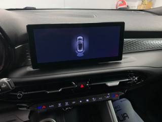 ALFA ROMEO Tonale usata, con Vivavoce