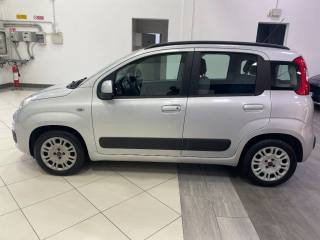 FIAT Panda usata, con Cronologia tagliandi
