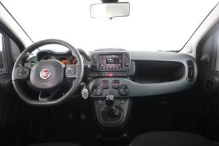 FIAT Panda usata 4
