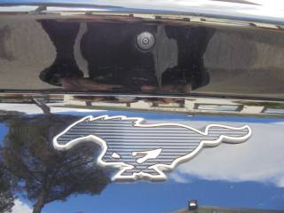 FORD Mustang Mach-E usata, con Servosterzo