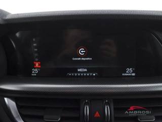 ALFA ROMEO Stelvio usata 14