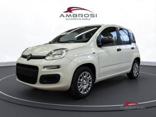 FIAT Panda 1.0 firefly hybrid s&s 70cv
