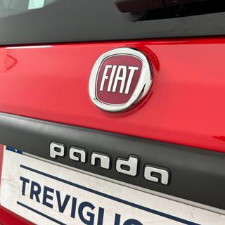 FIAT Panda usata, con Streaming musicale integrato