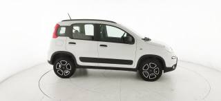 FIAT Panda usata 22
